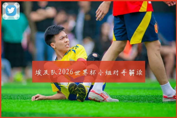 埃及队2026世界杯小组对手解读